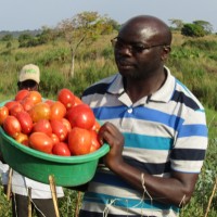 Rwebembera Charles