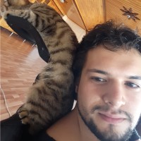 Tarık Özdemir