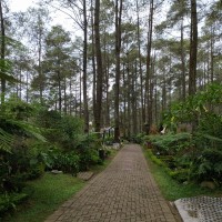 Mukhlis Suharto Hadi