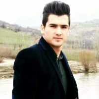 Fardin Shati