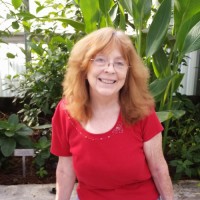 Linda Carr