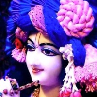 Saroj Bhardwaj