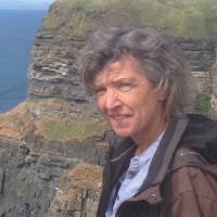 Carolien van den Dries