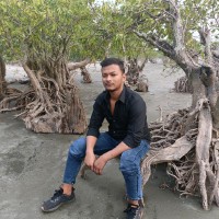 Sujon Hossain