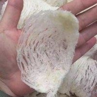 张有为