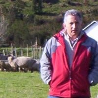 Harry Santiago Mardones Mellado