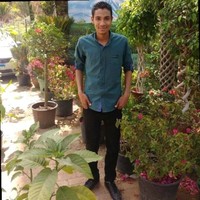 Mohammed Eldeeb