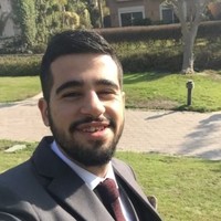 Mohamed Bassiouni