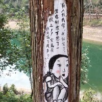 胡世龙