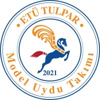 Tulpar Model Uydu