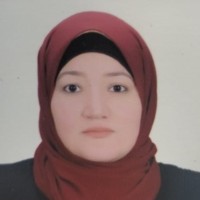 wafaa bakr