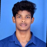 Lingeshwaran P