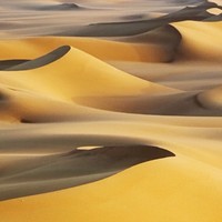 Shipra Kunal Khattri