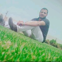 هشام احمد