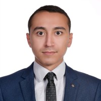 Mahmoud Abou Younis