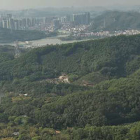 董立波