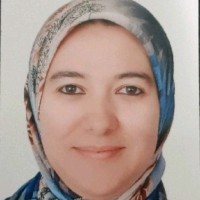 Meryem Hajjam