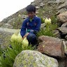 Aakash Negi