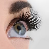 Evercil, S. de R.L. de C.V.