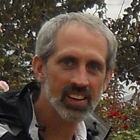 David Pines