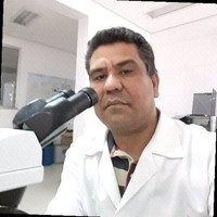 Anibal Ribeiro Junior