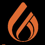 Milenium Combustible