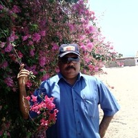 Mohamed Baker