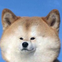 Dima Teltsov