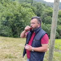 Ahmet Onel