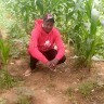 Daniel Ndeto