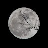 BRIGHT MOON