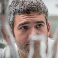 Daniel Lark, PhD