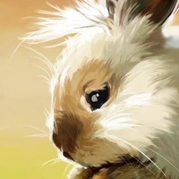 罗智文