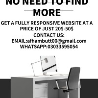 website developer
