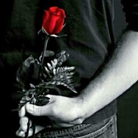 Ahmed Ahmed