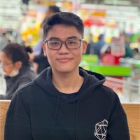 Việt Anh Vũ Đình
