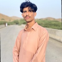 Muhammad Anees