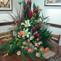Centro De Eventos Ciespal