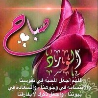 Yosra Fawzy
