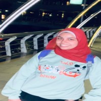 Nermeen Nasr