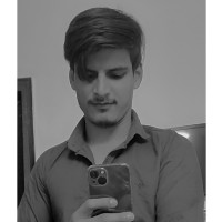 ankit bhardwaj