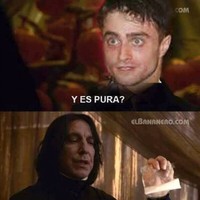 Guillermo Gustavo Special