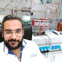 Muhammad Ezzat Abed El Haleem