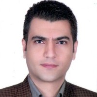 hadi rezaei