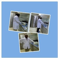 Mustapha Dauda Yakubu