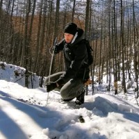 Simone Palumbo