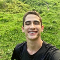 João Victor Franco Vogel