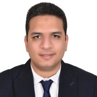 Hossameldin Seddik®