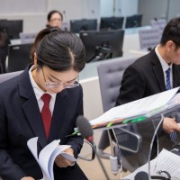 Internship and Visiting Professional Programme