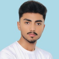 Hamza Sheraz